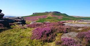 Longshaw Estate