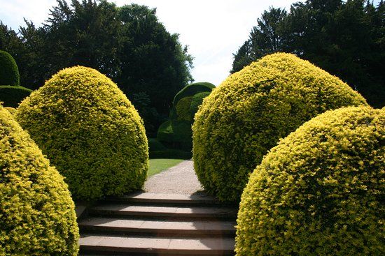 Elvaston Castle