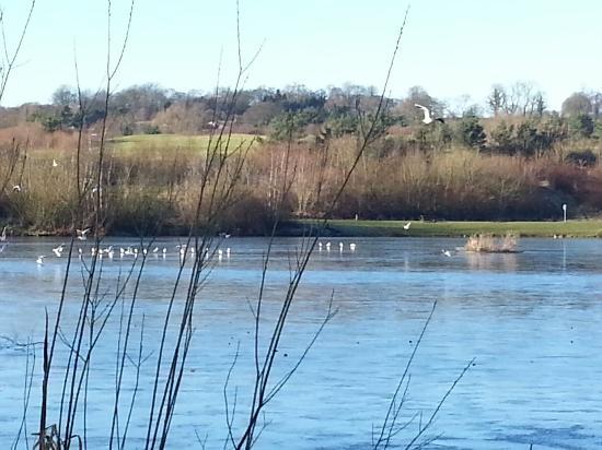 Holmebrook Valley Park