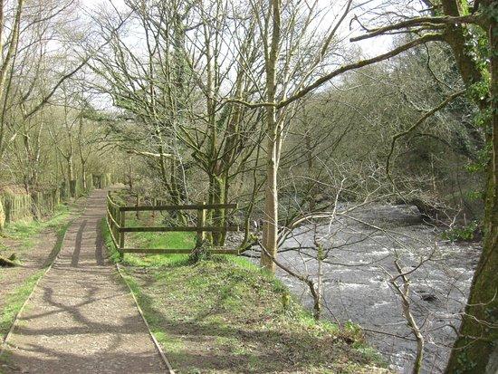 Sett Valley Trail