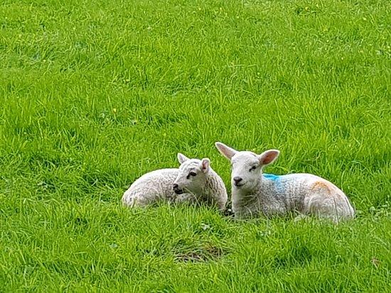 Tissington Trail and High Peak Trail
