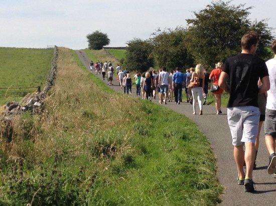 Sally Mosley Guided Walks