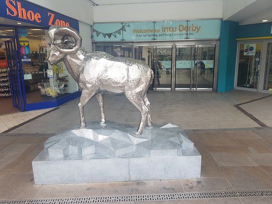 Derby Ram