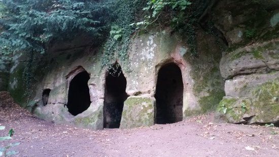 The Hermitage