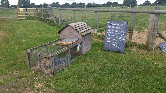 Hackwood Farm