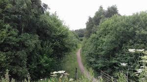 The Avenue Washlands