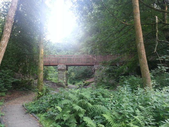 Eastwood RSPB Reserve