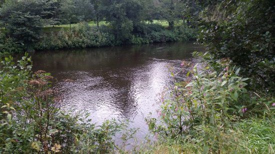 Duffield Millennium Meadow